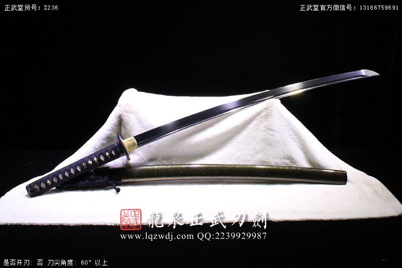周正武龍泉寶劍專賣(mài)店,周正武龍泉?jiǎng)r(jià)格,正武堂官網(wǎng),龍泉刀劍官網(wǎng),龍泉?jiǎng)χ苷?正武刀劍,龍泉正武刀劍官網(wǎng),龍泉正武刀劍,龍泉?jiǎng)? border=