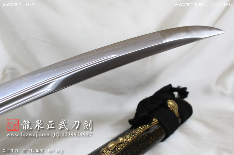 周正武龍泉寶劍專賣店,周正武龍泉?jiǎng)r(jià)格,正武堂官網(wǎng),龍泉刀劍官網(wǎng),龍泉?jiǎng)χ苷?正武刀劍,龍泉正武刀劍官網(wǎng),龍泉正武刀劍,龍泉?jiǎng)? border=